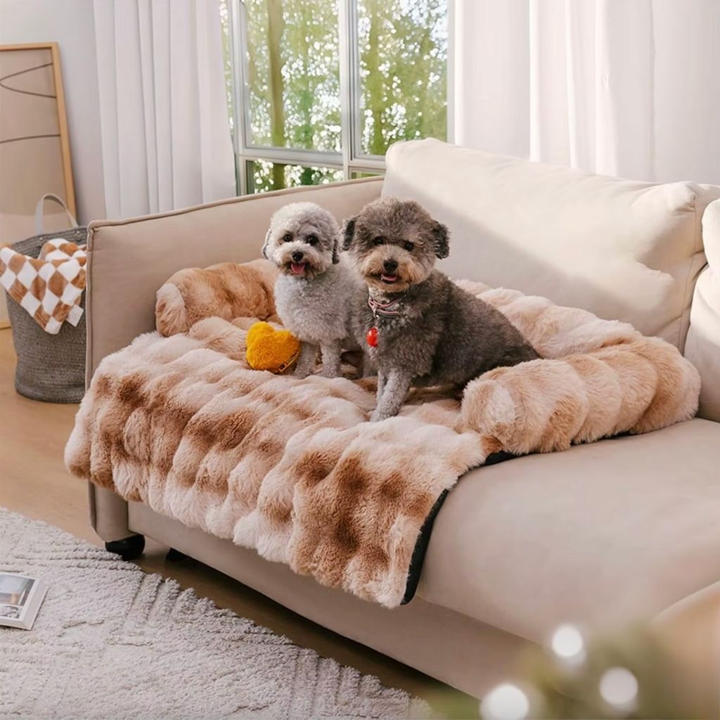 Canapé Beige – Pawsy Signature™
